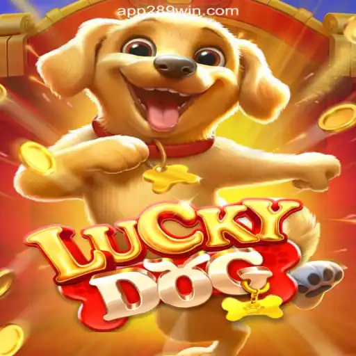 Discover LuckyDog: A Thrilling Gaming Experience on 289win.COM Platform
